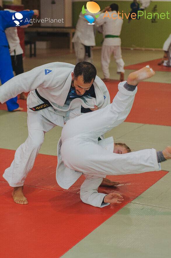 Judo gatherings in Cyprus